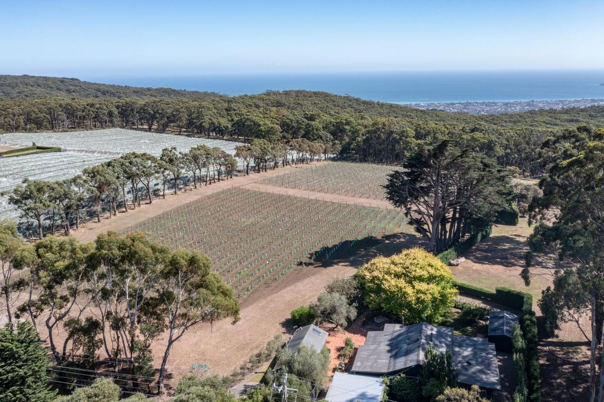 The Elm Red Hill Vineyard And Bay Views Villa Exterior photo