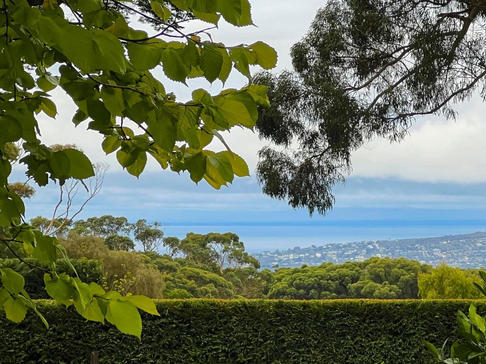 The Elm Red Hill Vineyard And Bay Views Villa Exterior photo